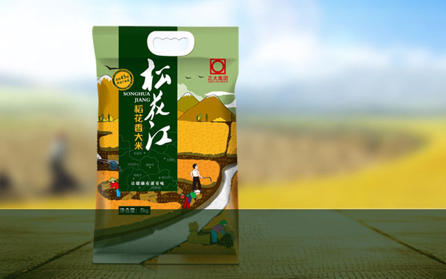 專業(yè)寵物服飾品牌