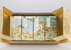 媒體對象