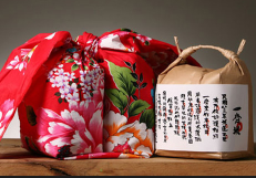 媒體對(duì)象