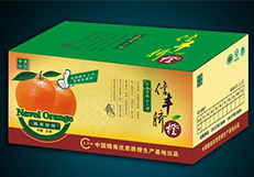 媒體對(duì)象